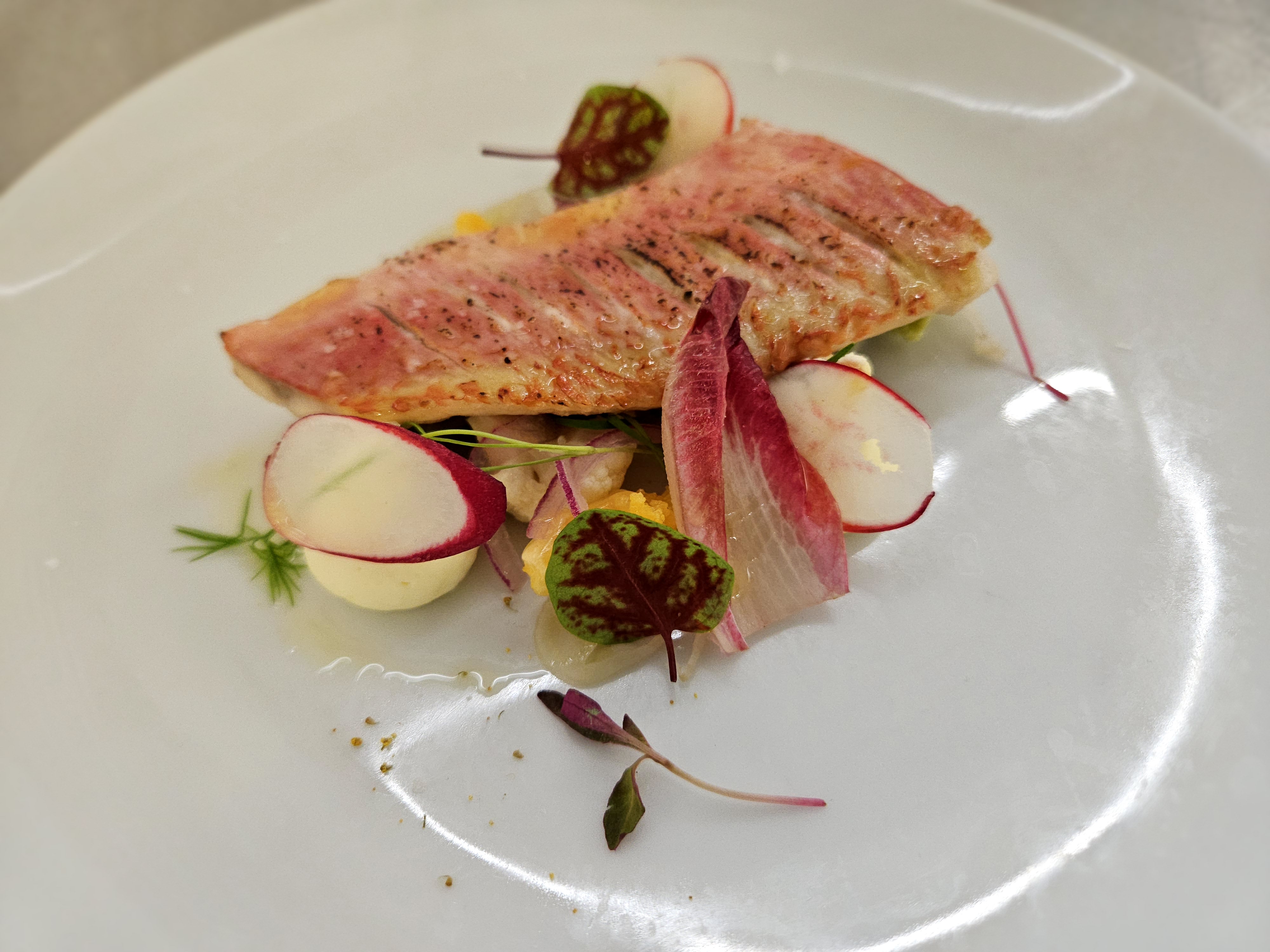 Red mullet escabeche, smoked halibut cream