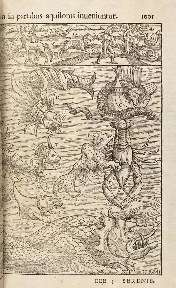 BT1.25.14, p.1005, Sebastian Münster’s Cosmographia universalis (1572)