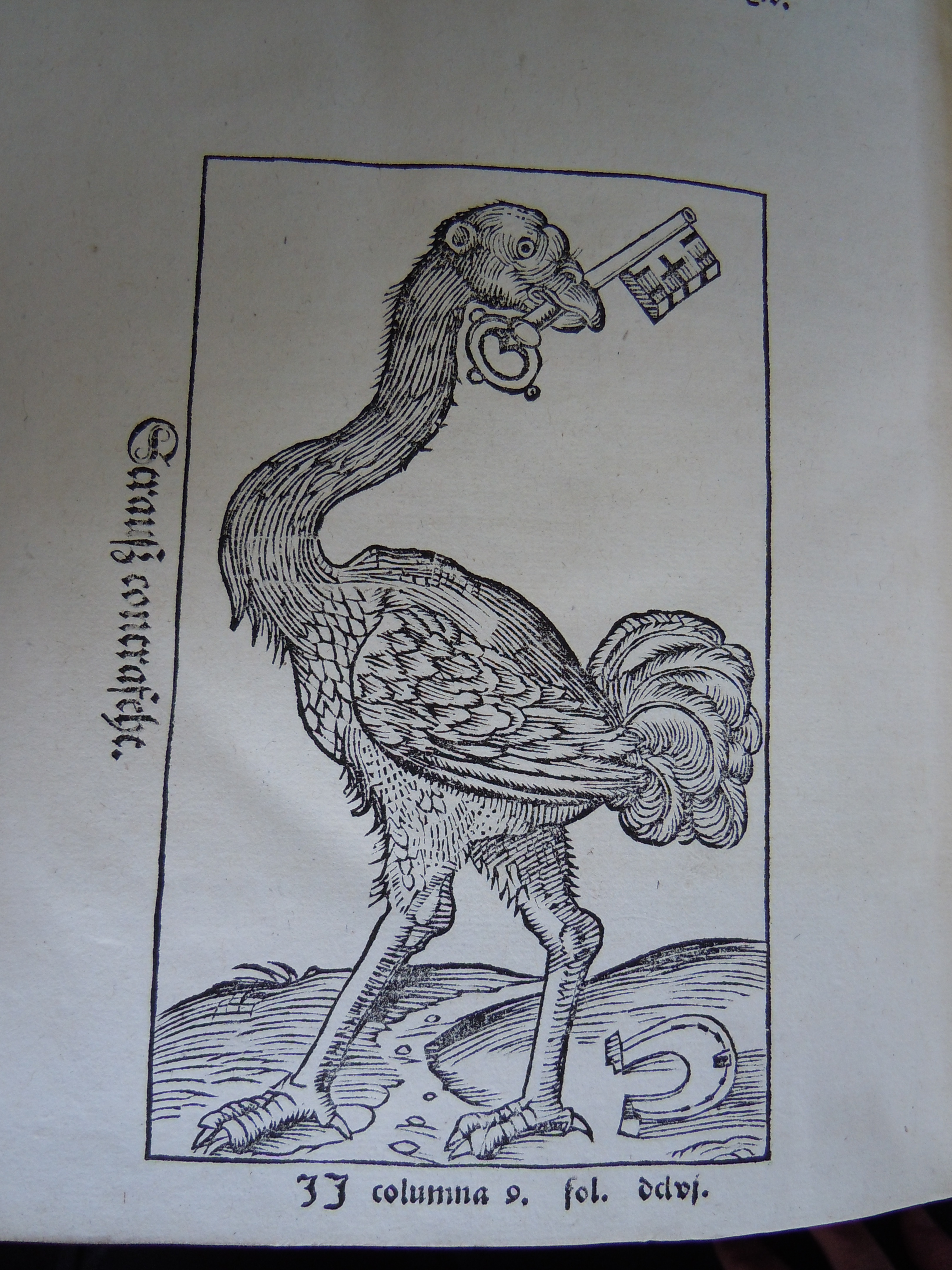 BT3.187.1(2), opp. p. dcxxxi, Sebastian Münster’s Cosmographia (1544)