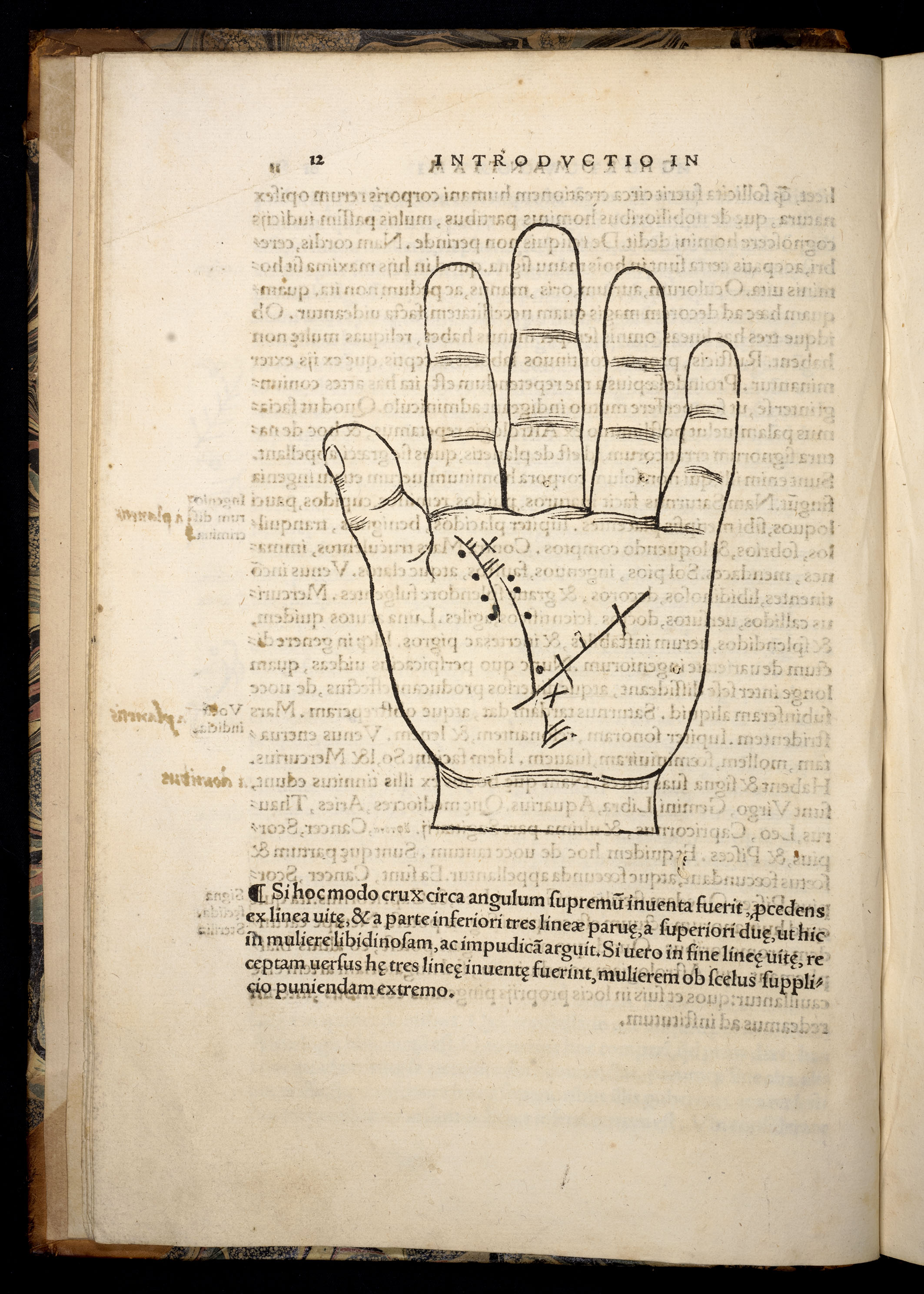 BT3.250.13, p.12, Johannes Indagine’s Chiromantia (1531)