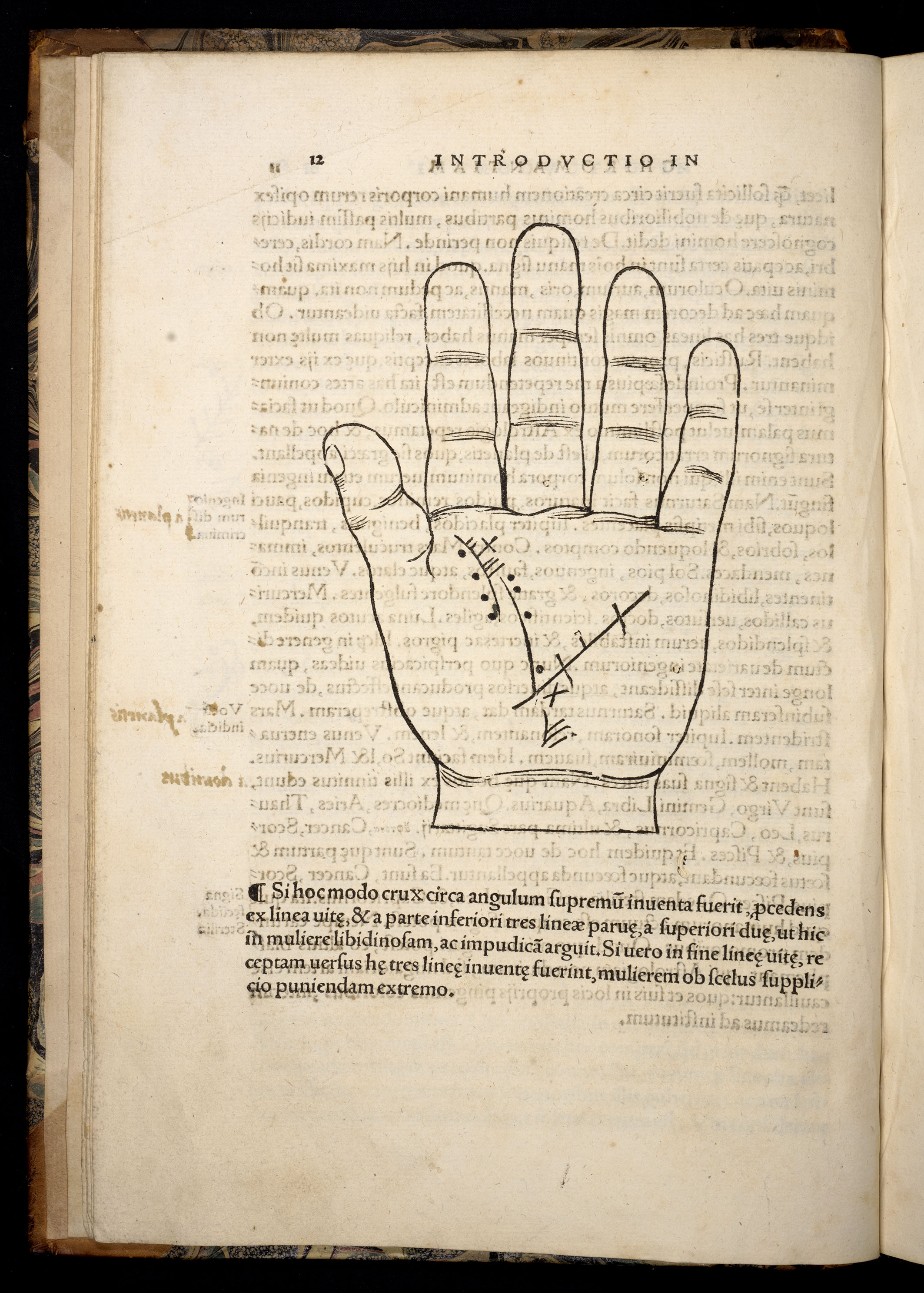 BT3.250.13, p.12, Johannes Indagine’s Chiromantia (1531) BT3.250.13, p.12, Johannes Indagine’s Chiromantia (1531)