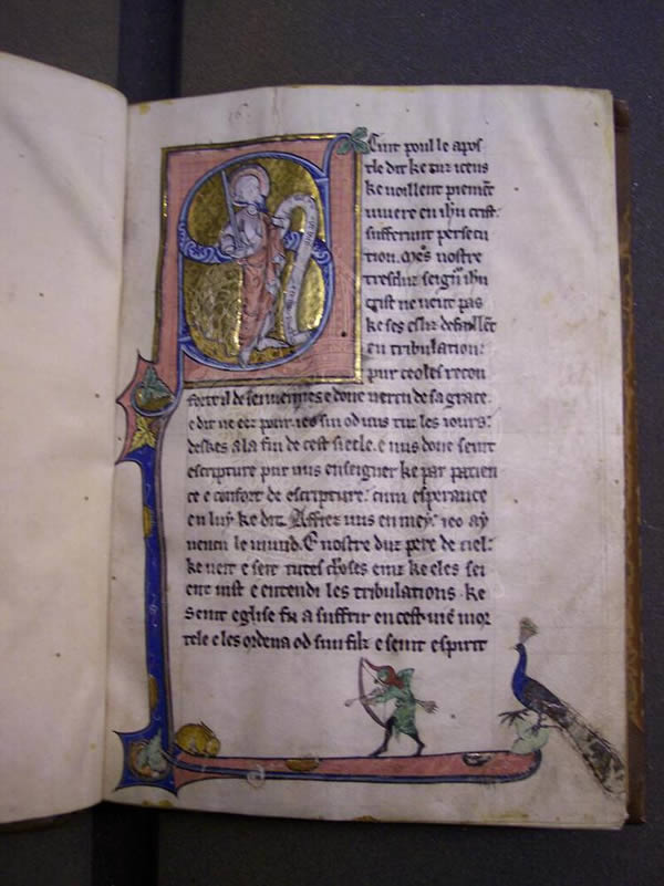 MS 65, f. 1r, Commentary on the apocalypse, 14thC MS 65, f. 1r, Commentary on the apocalypse, 14thC