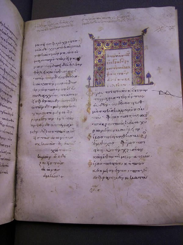 MS 141, f. 224r, Homilies, 11thC