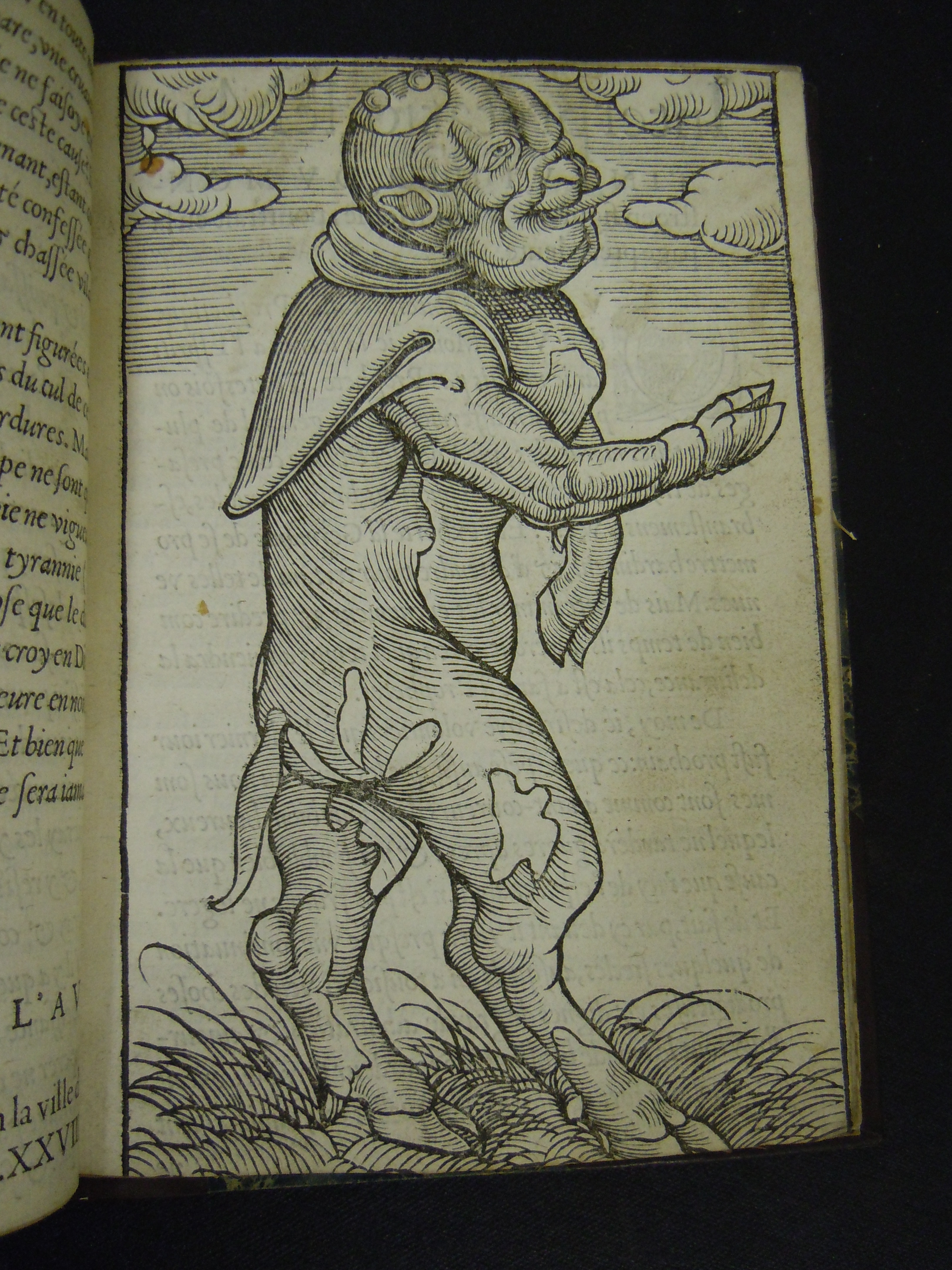 BT1.17.6(1), p.29, Martin Luther’s De deux monstres prodigieux (1557)