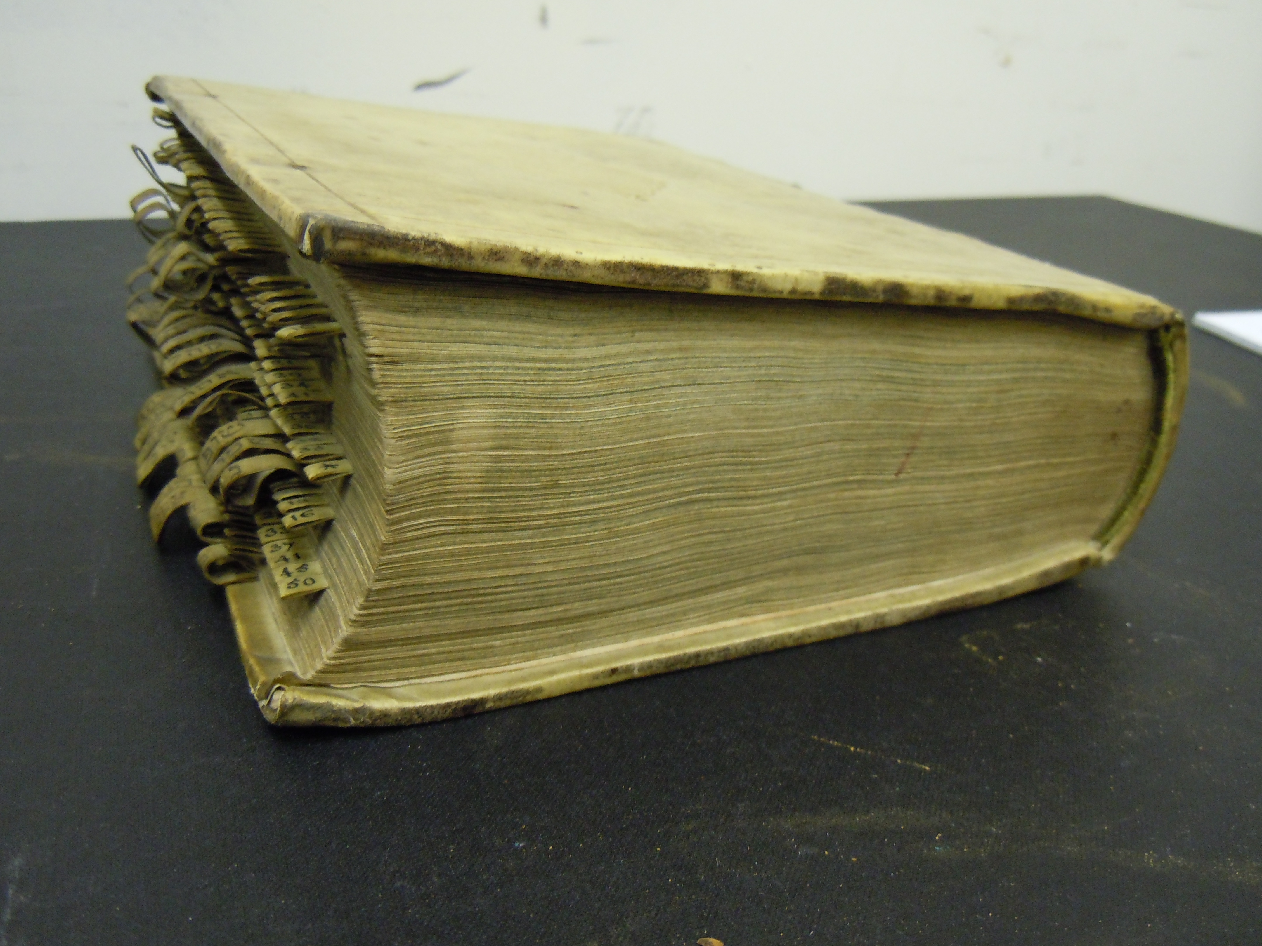BT3.18.7, Vellum tab indexing, Biblia Hebraica (1635)