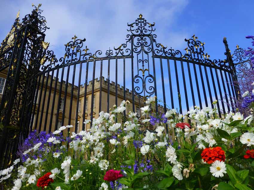 Summer Flowers against the Garden Gates