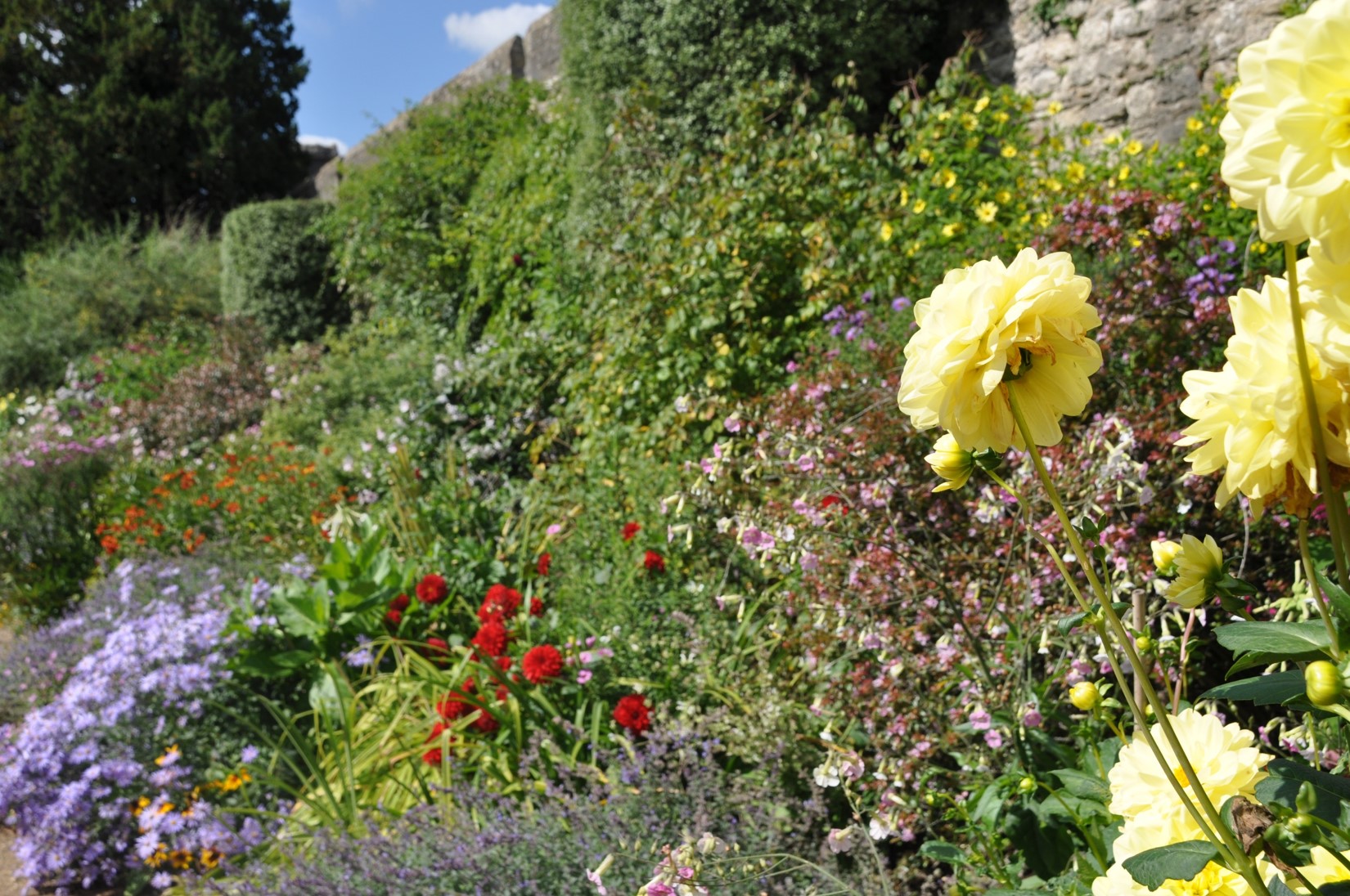 Herbaceous border Herbaceous border