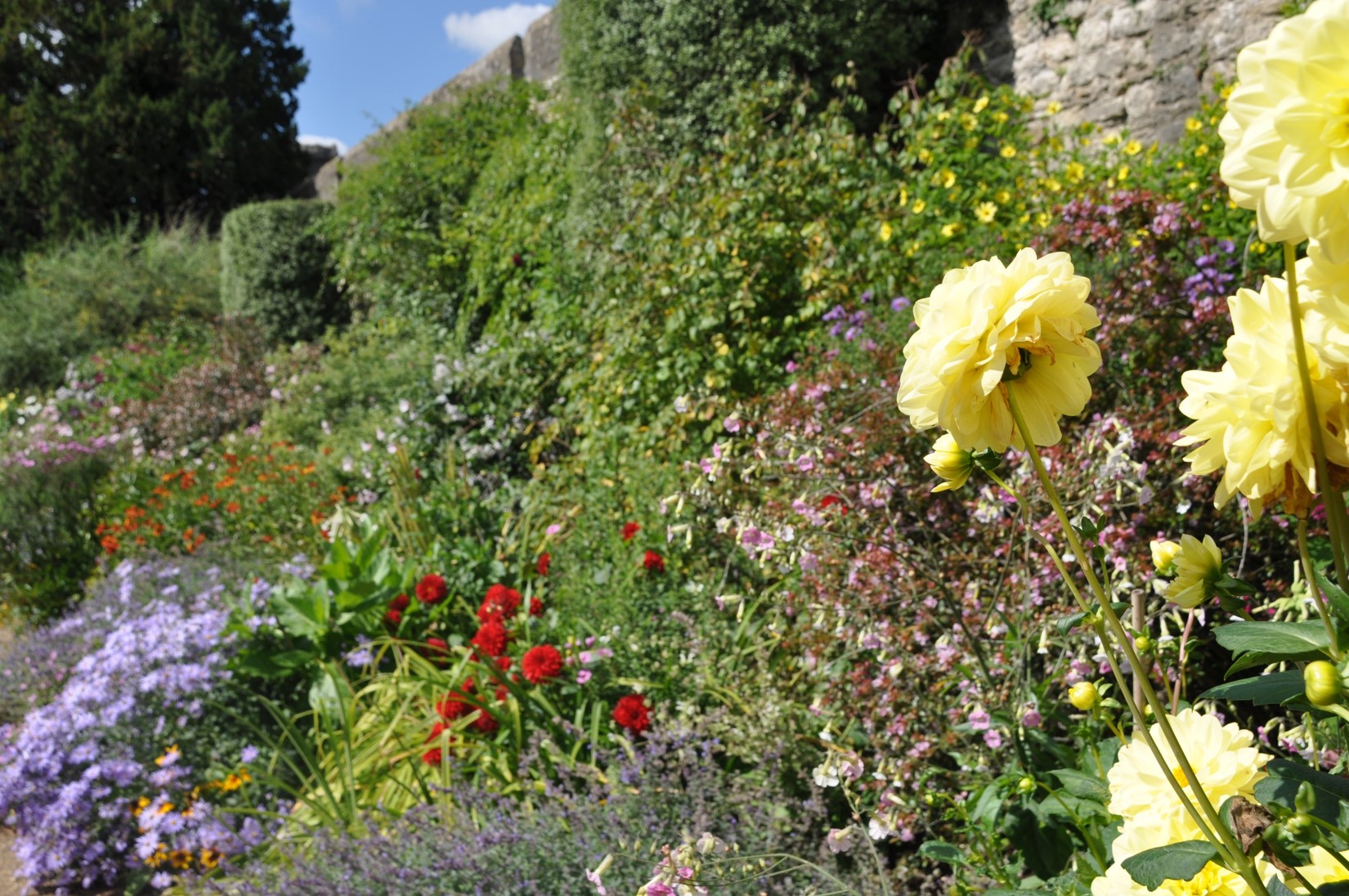 Herbaceous border