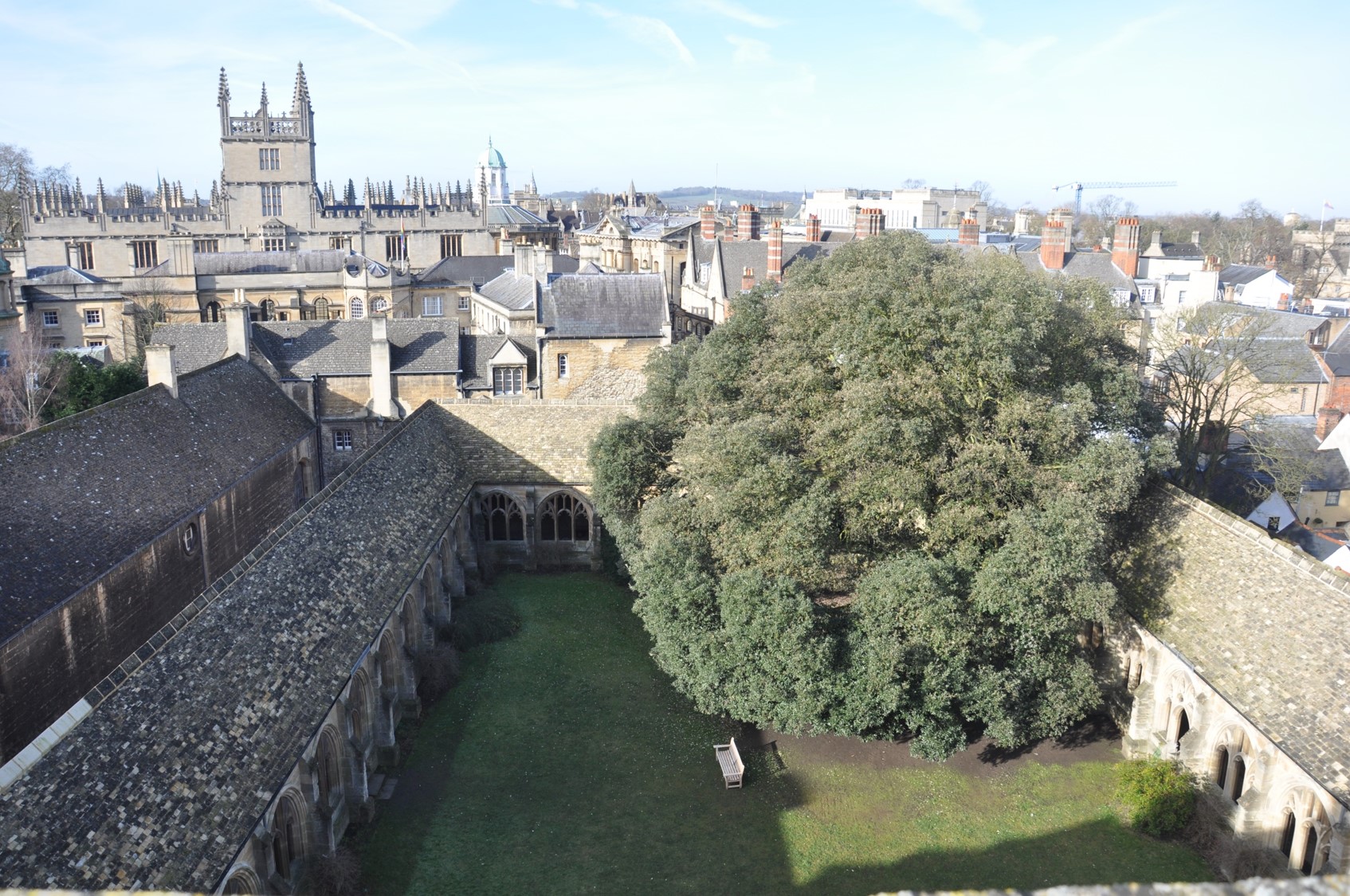 Cloisters from roof