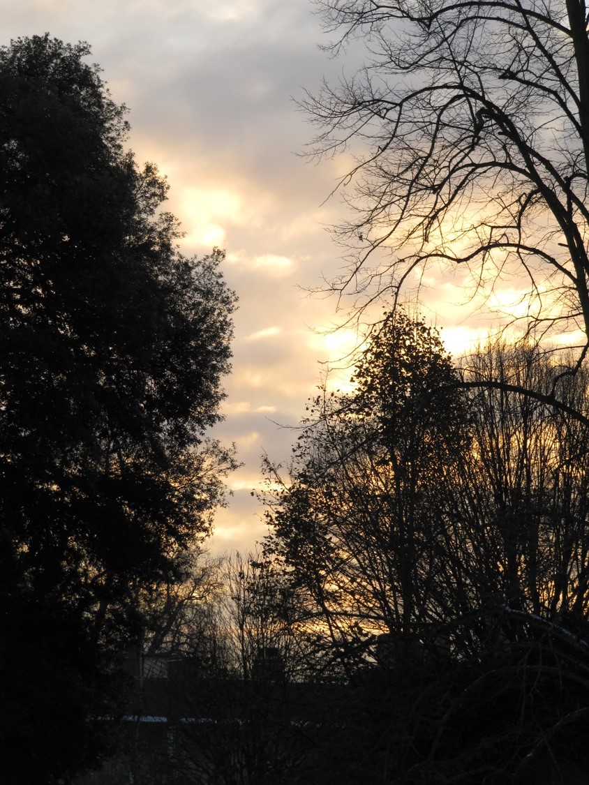 Dusk Dusk