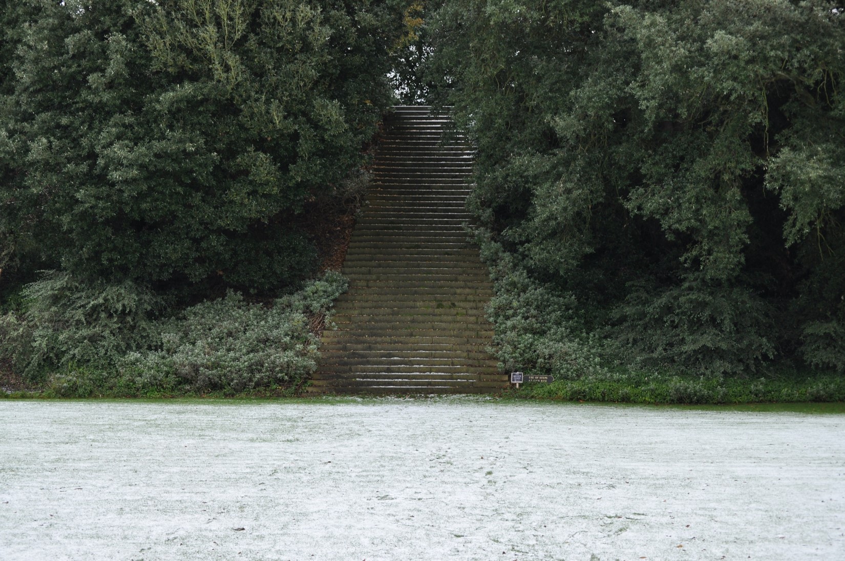 The Mound in the snow