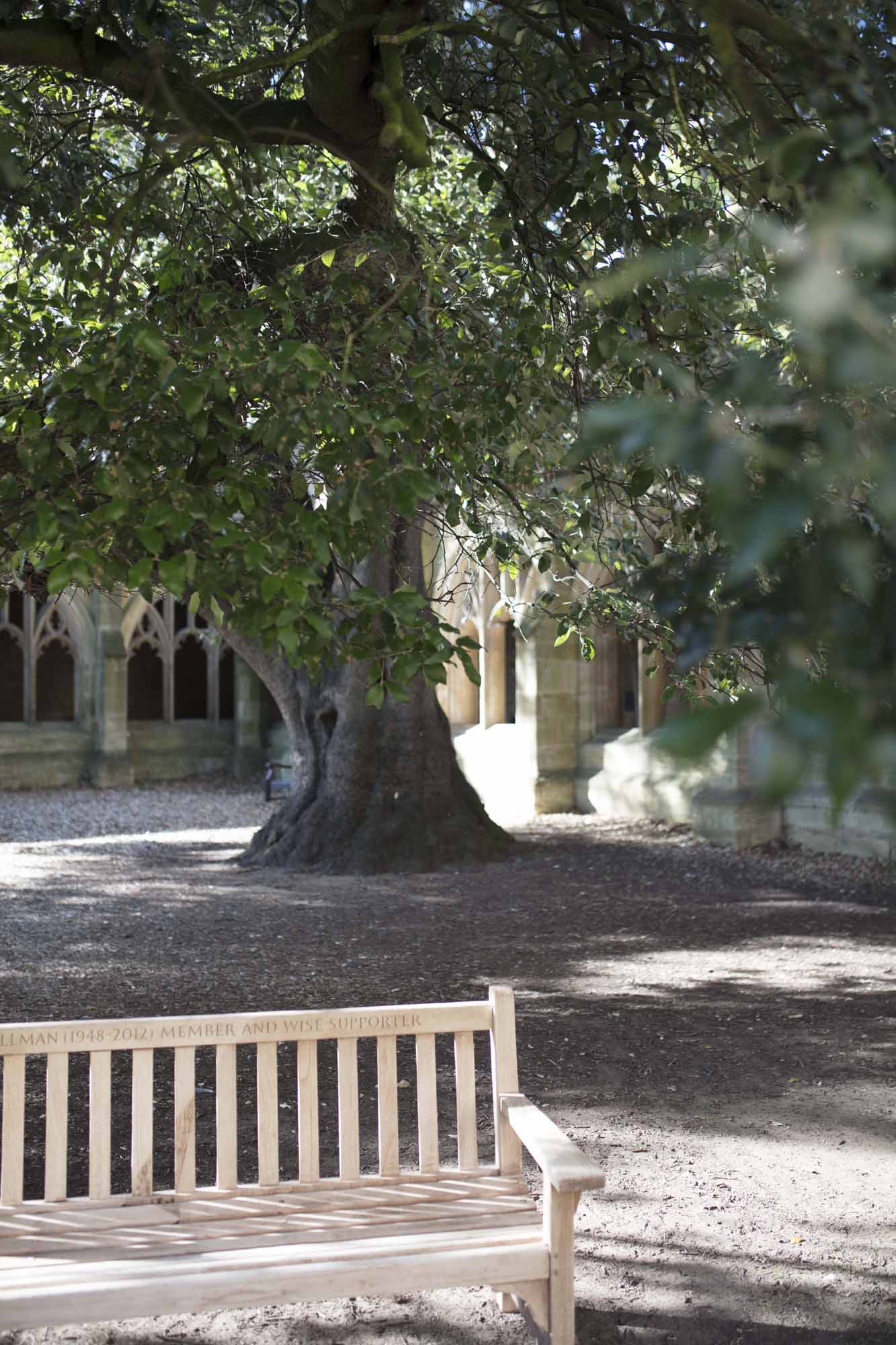 Cloisters Harry Potter Tree