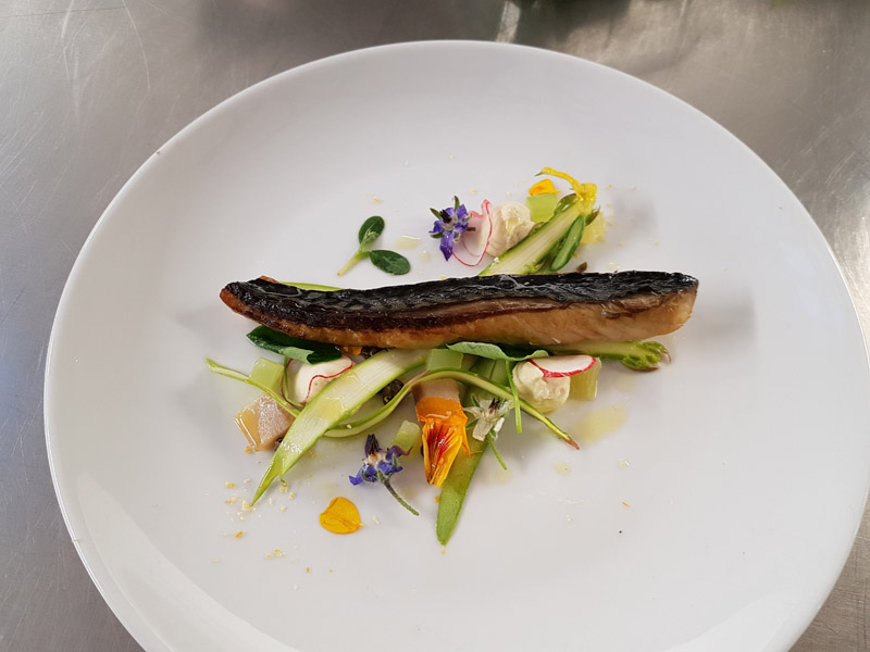 Grilled mackerel, bergamot dressing & asparagus