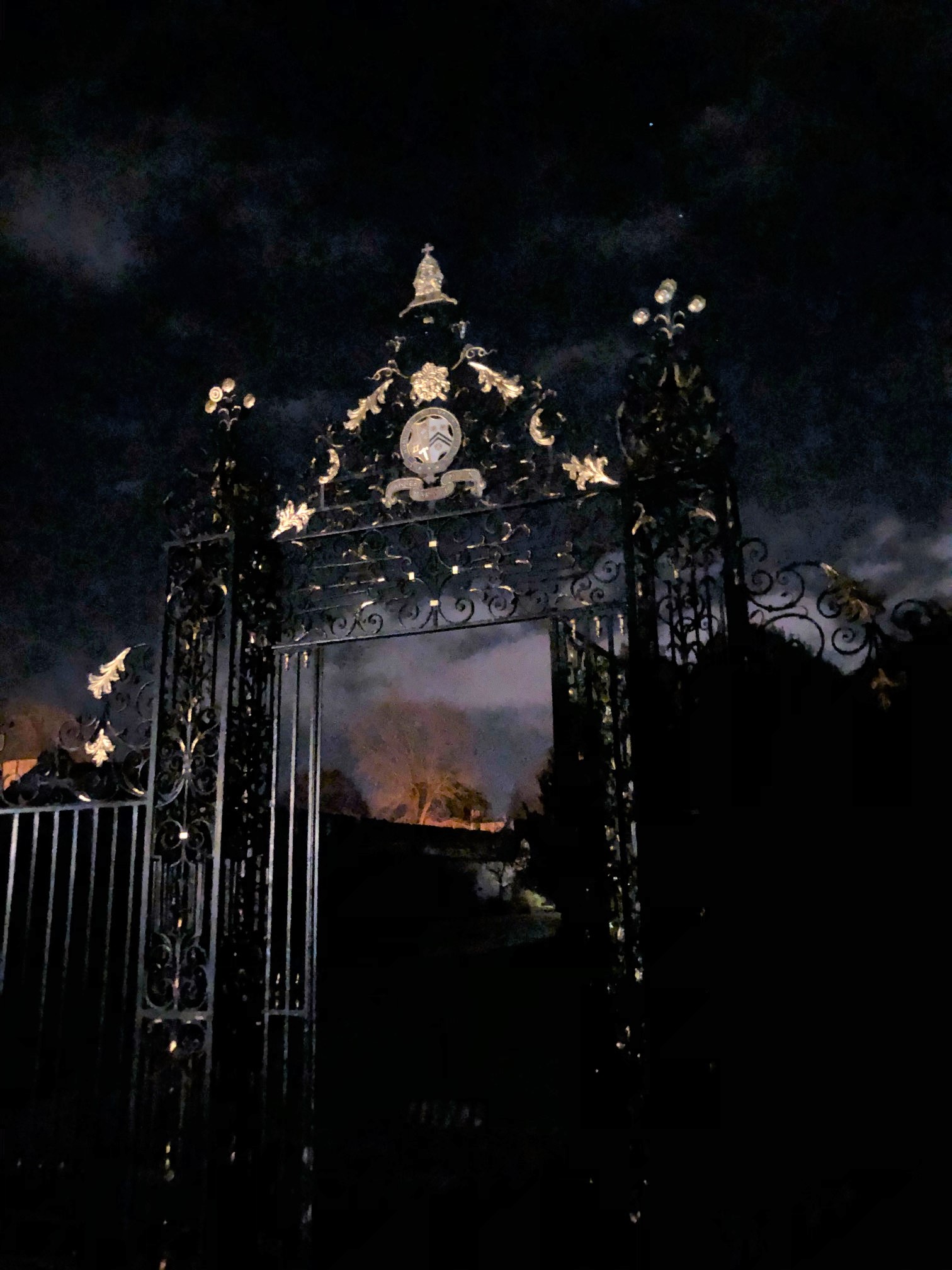 gate at night