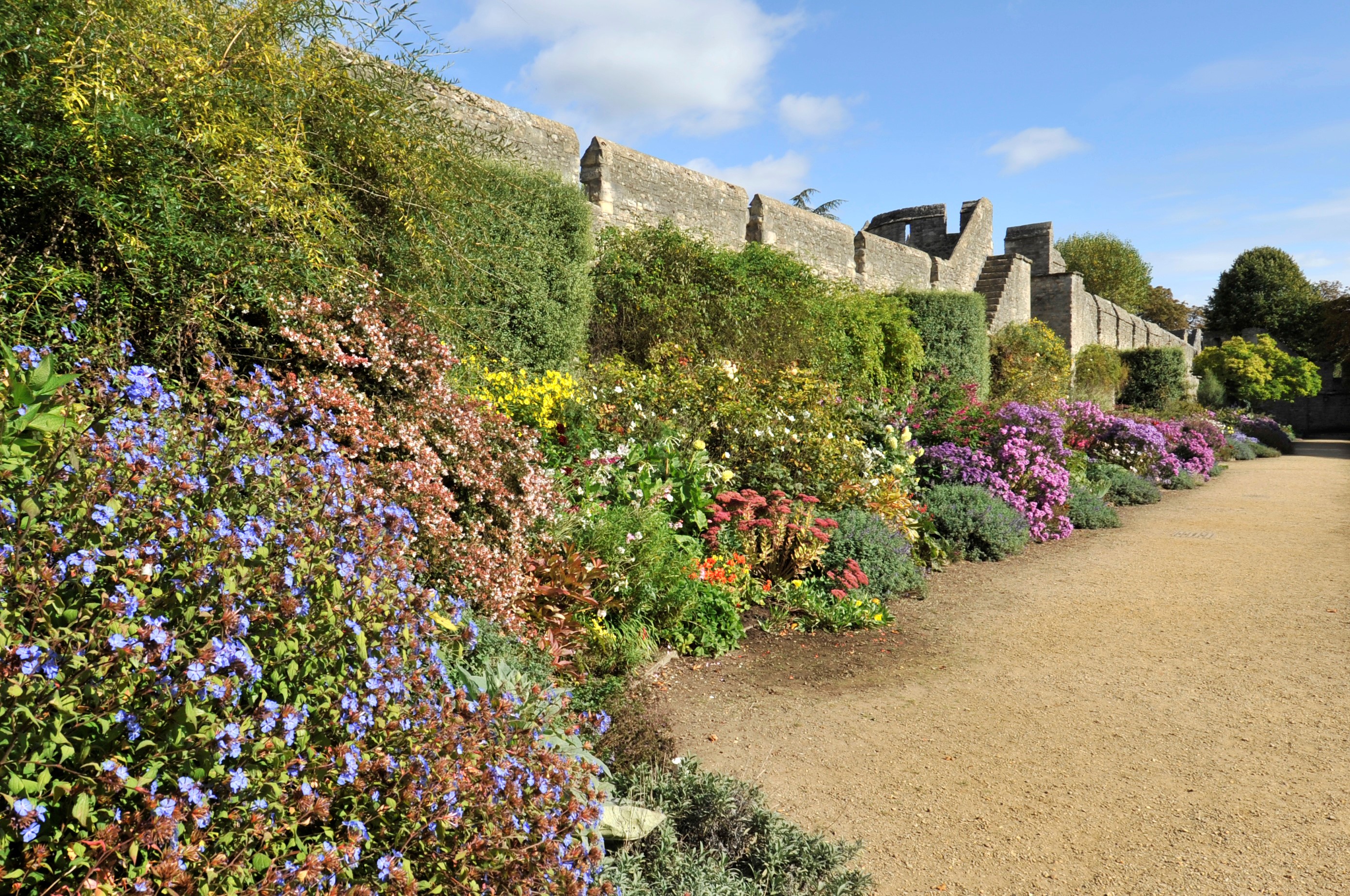City Wall with flowering herbaceous border