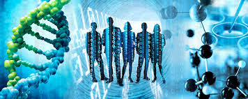 Picture including double helix and images of people and molecules to represent Life Sciences and Medine