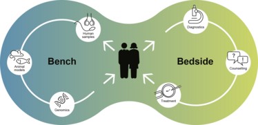 A diagram showing the theme of the title of the event: "Bench-to-Bedside: A Discussion on Translational Medicine"