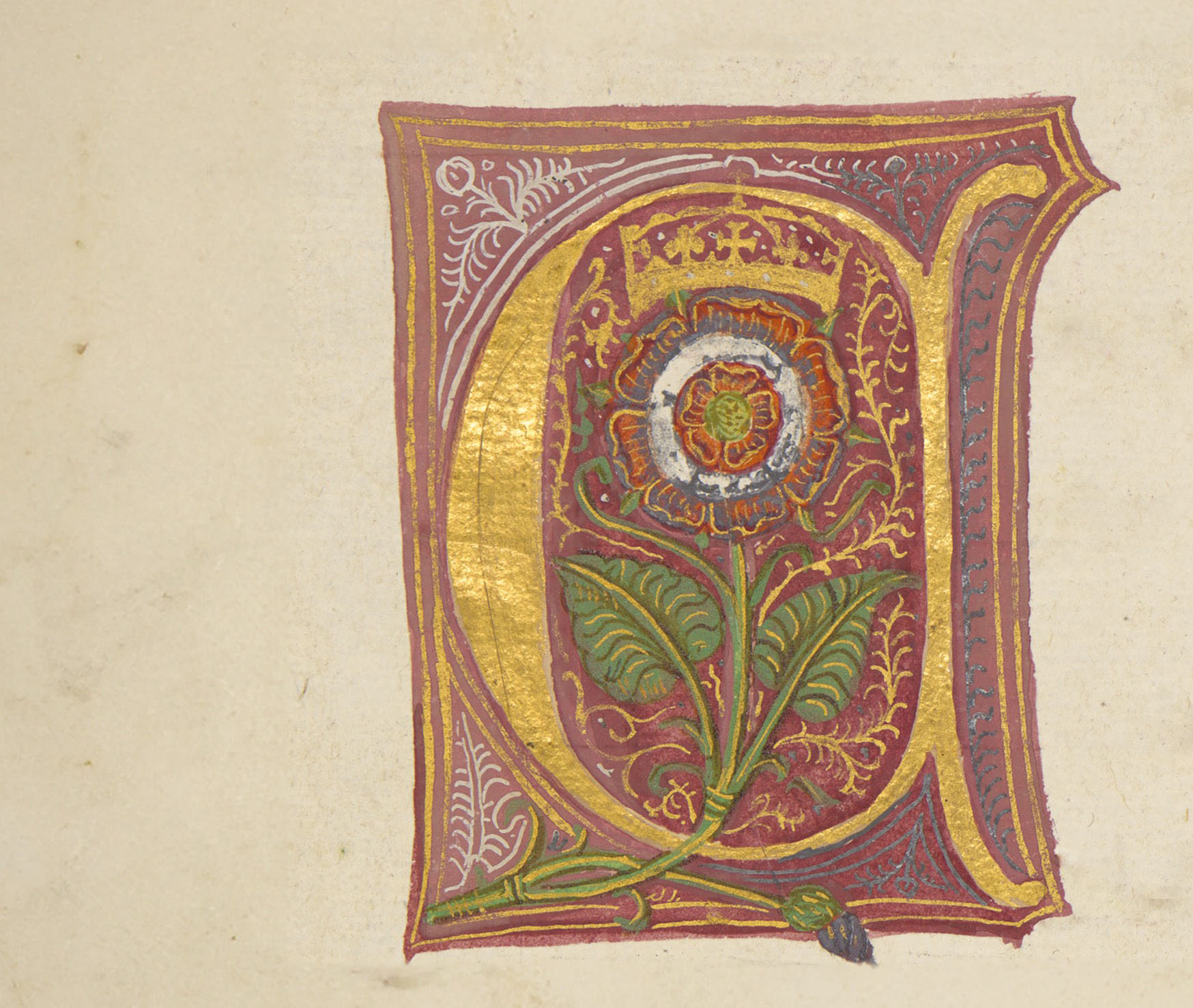 Tudor rose in a New College manuscript