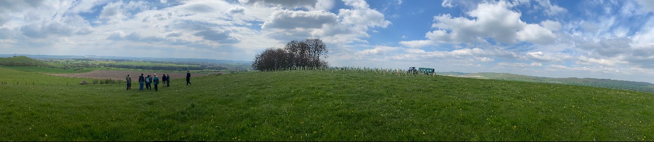 A panorama featuring a group of people, hills and a clump of trees
