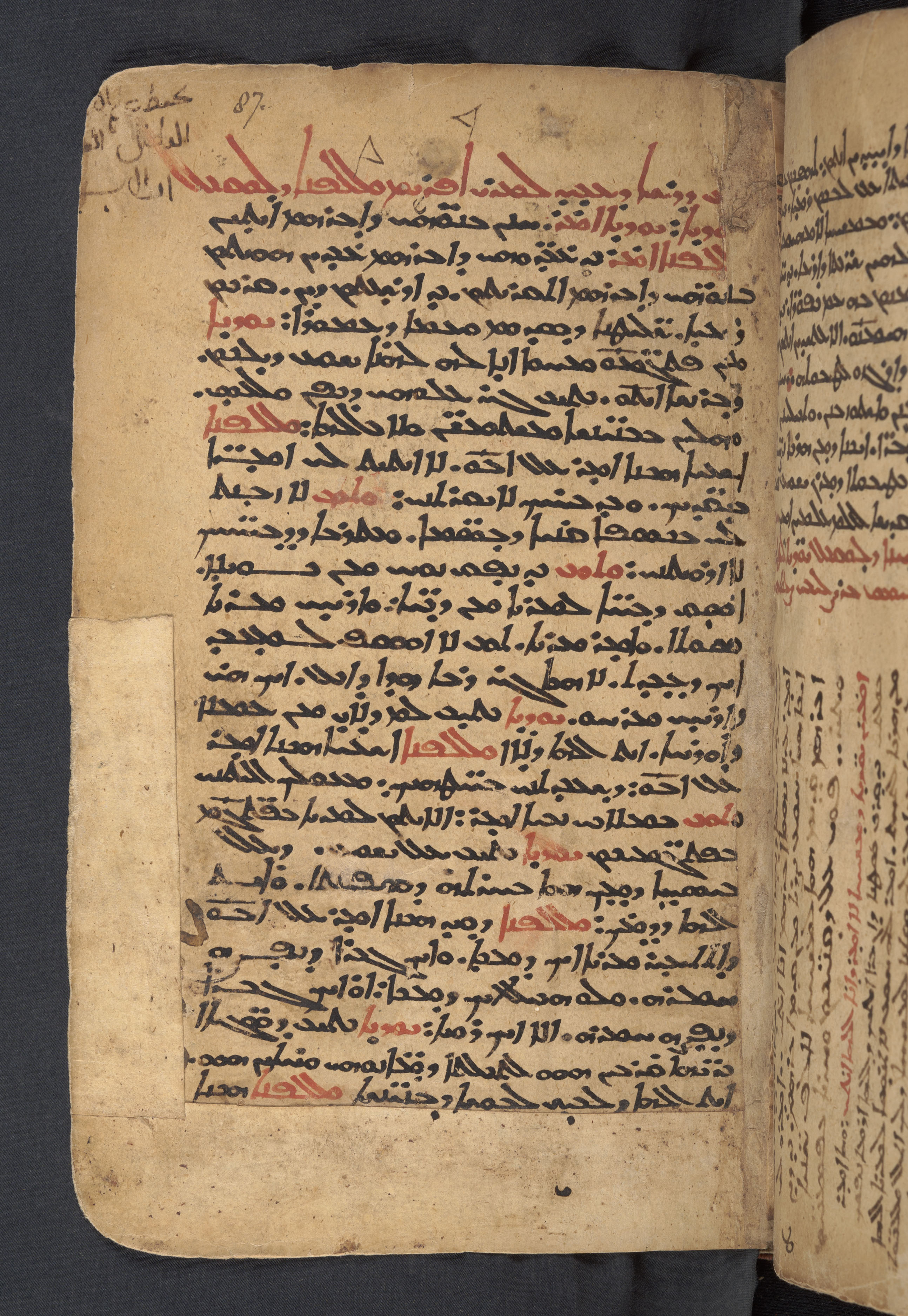 MS 331, f. 87v