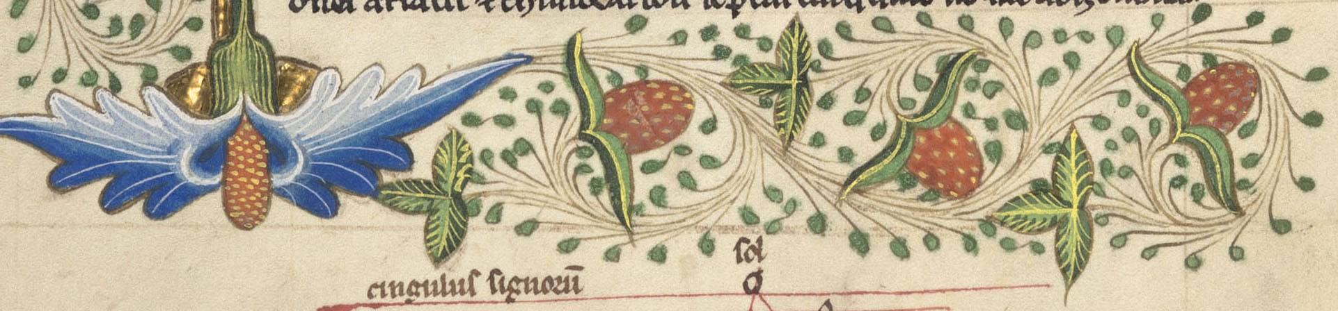 Detail of strawberries, MS 288, f. 122v