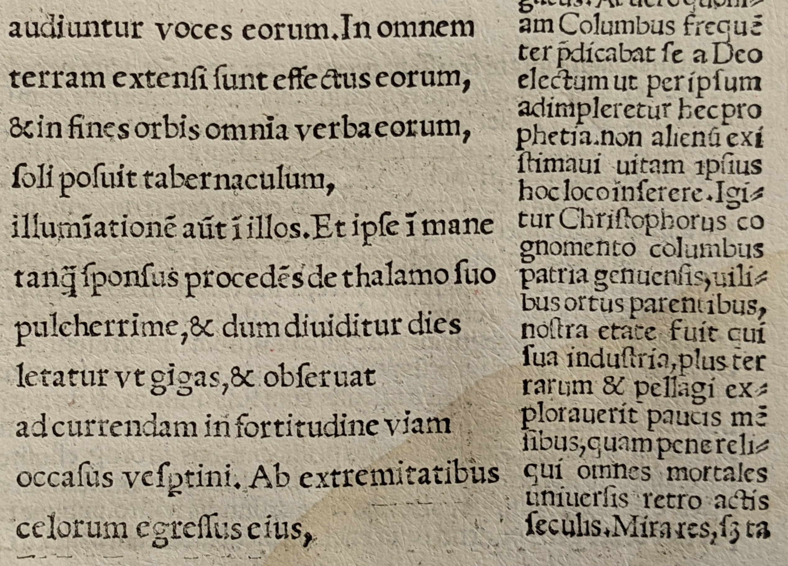 New College BT 1.48.1 detail