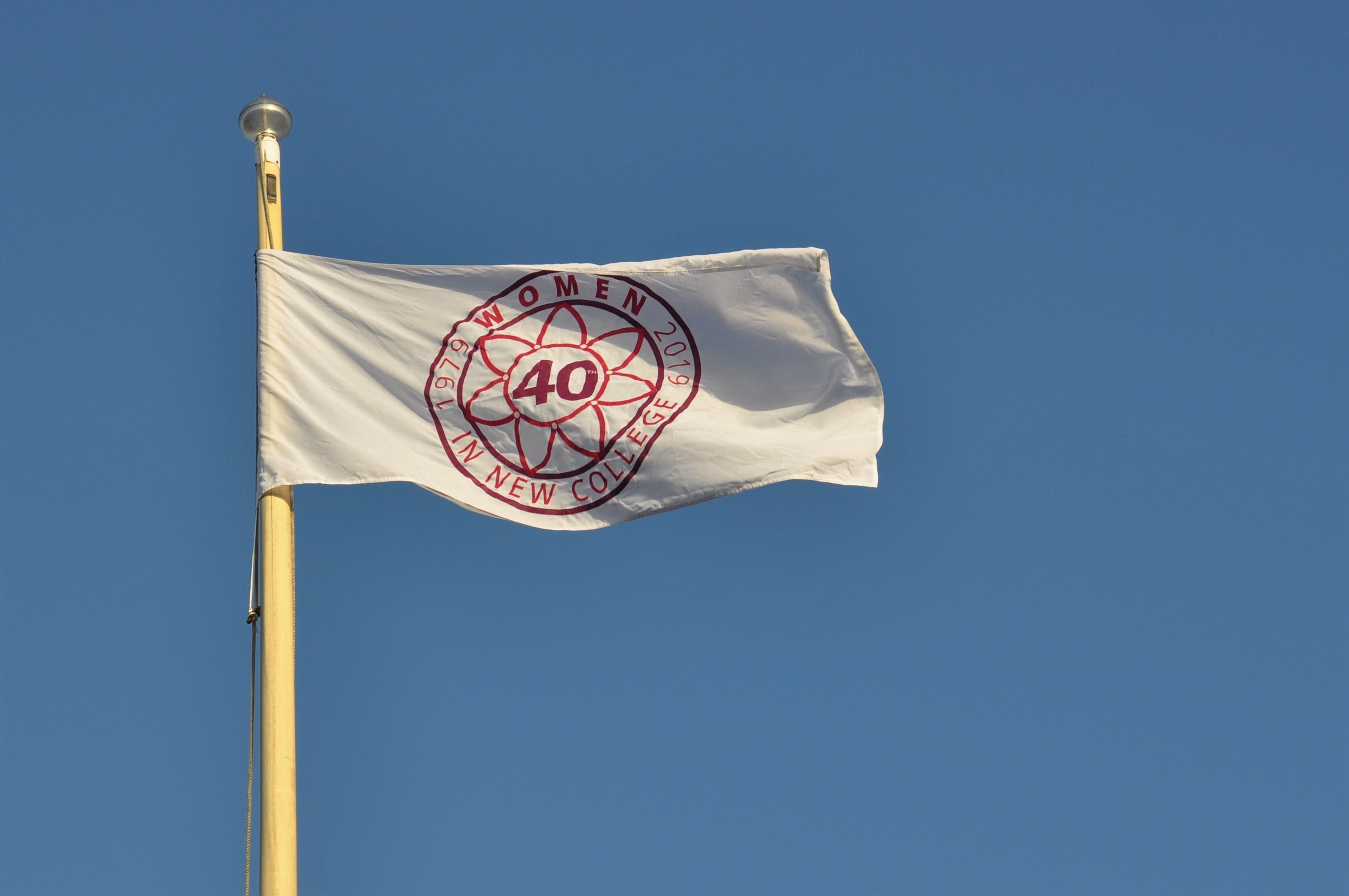 40th Anniversary of Women Flag