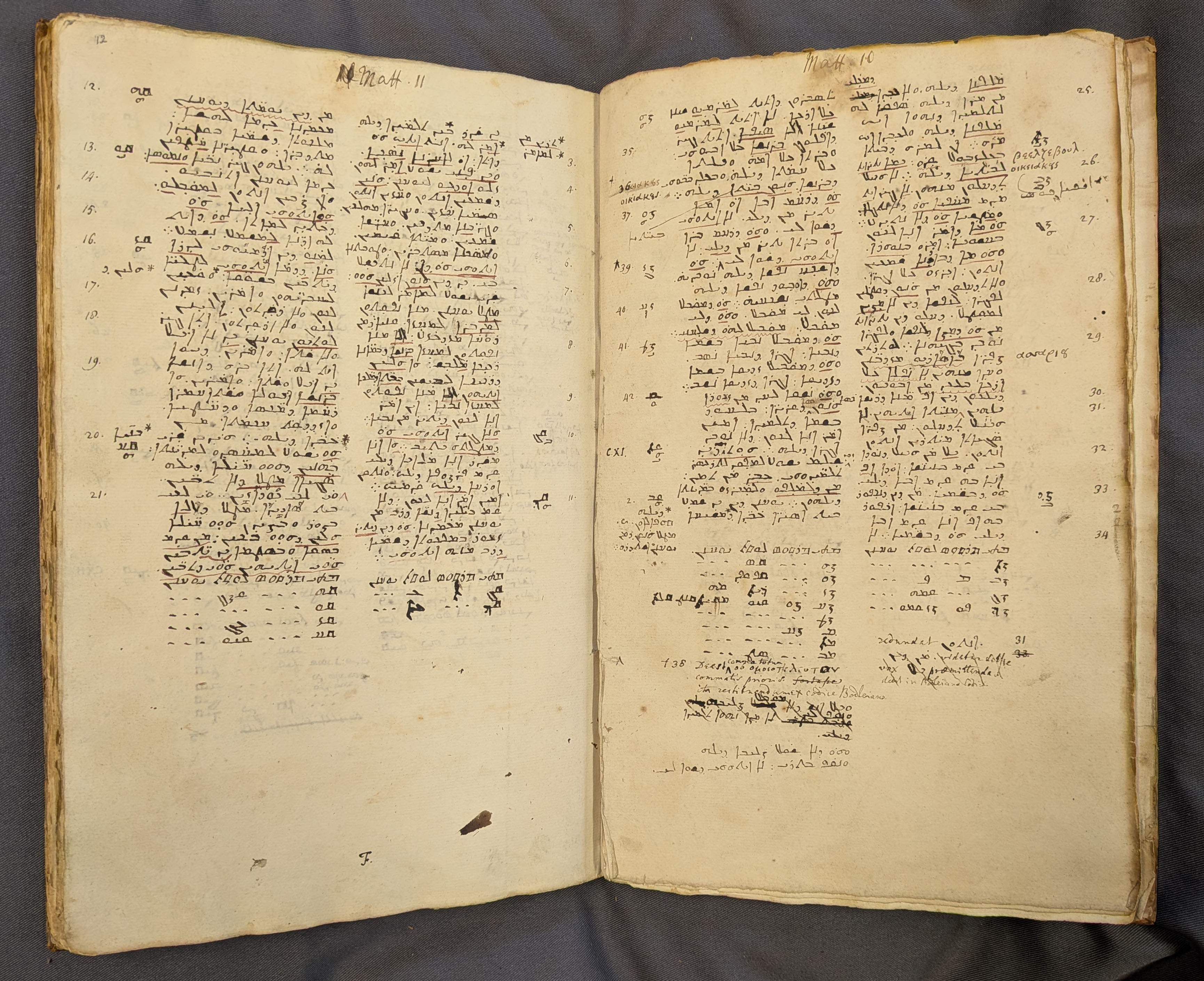 New College Library, MS 345, Gospel of Matthew