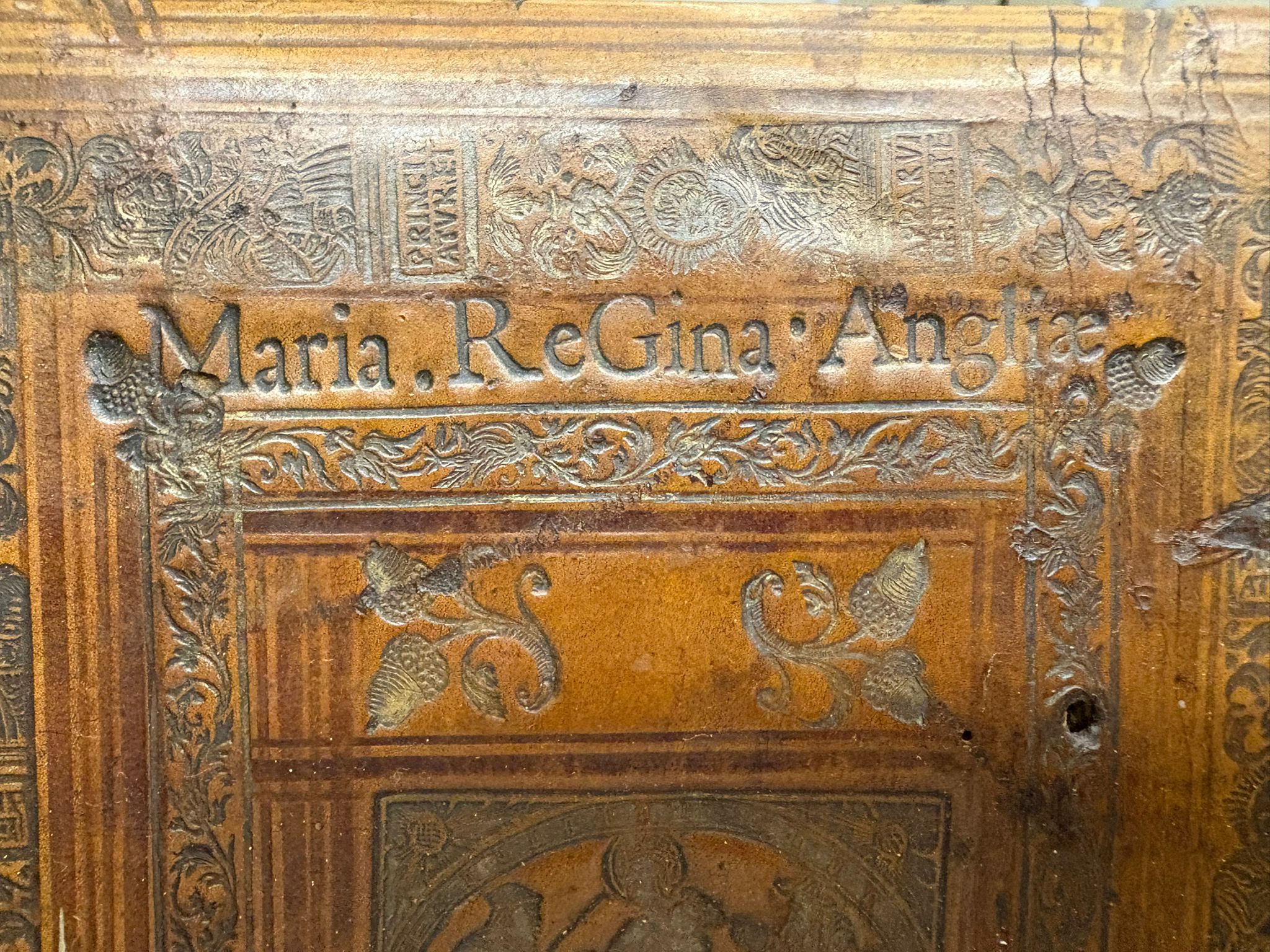 Detail of the binding of BT3.