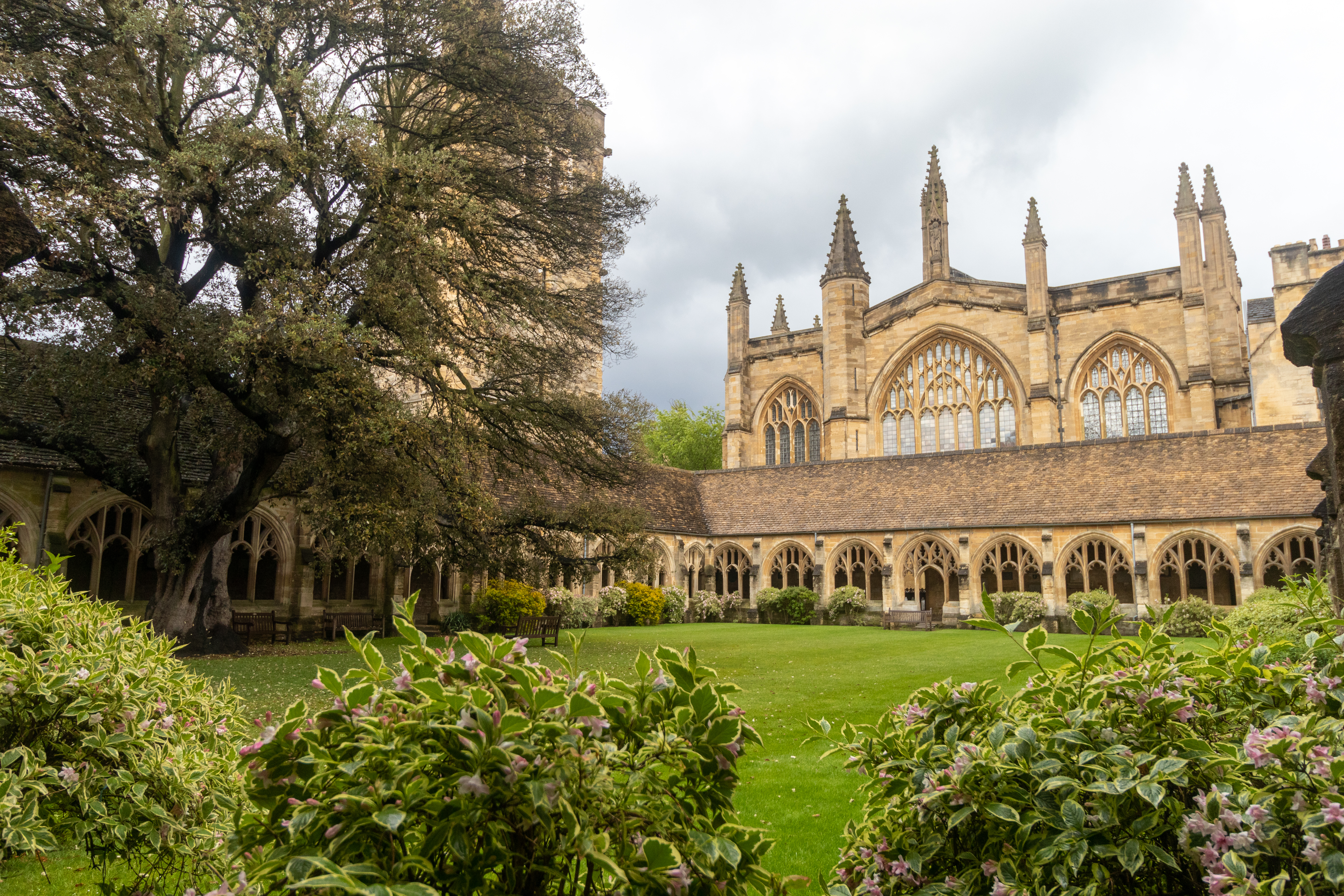 New College Cloisters