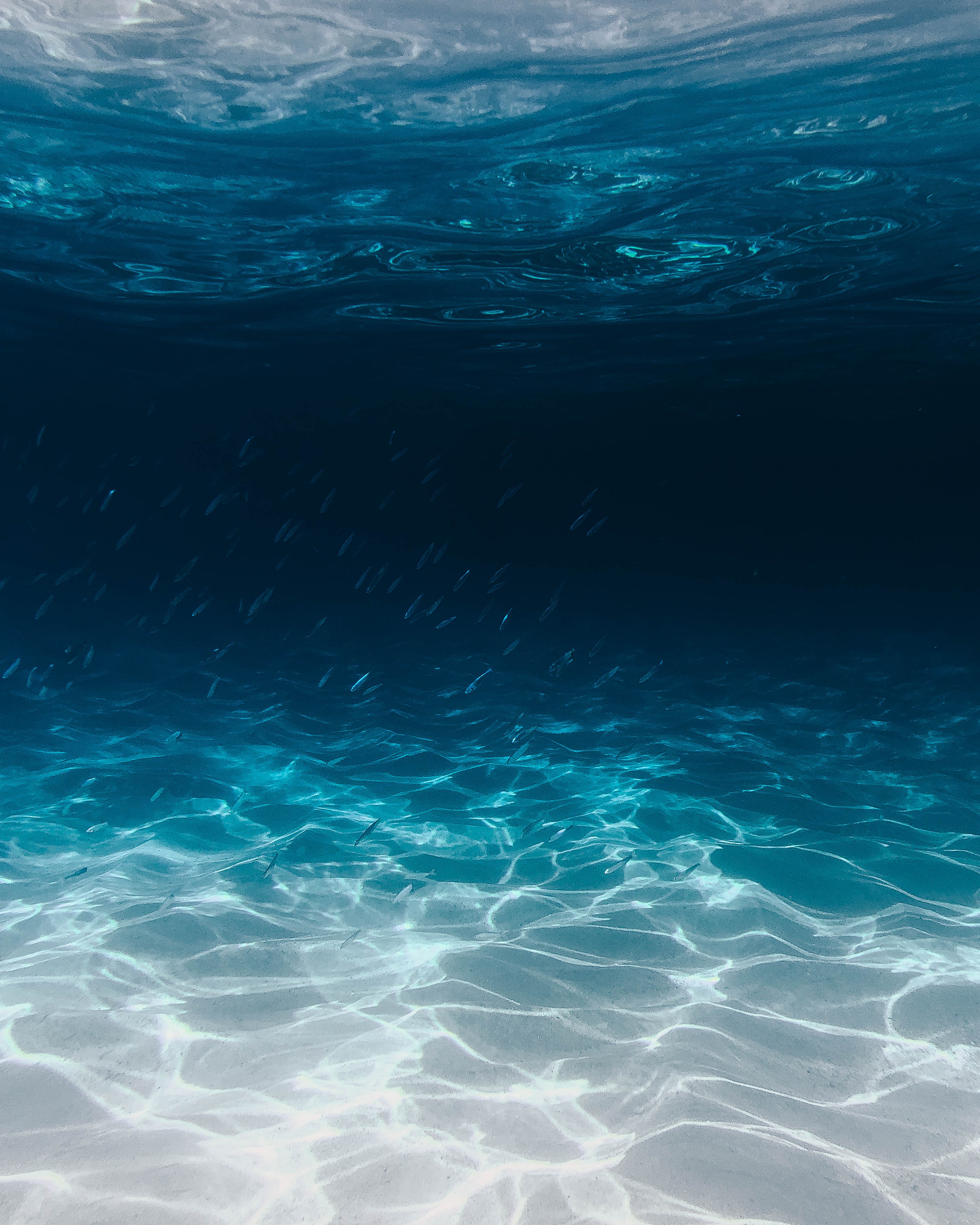 Underwater in the Ocean