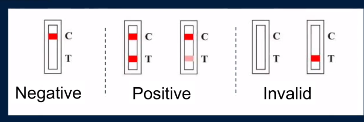 Test Results image