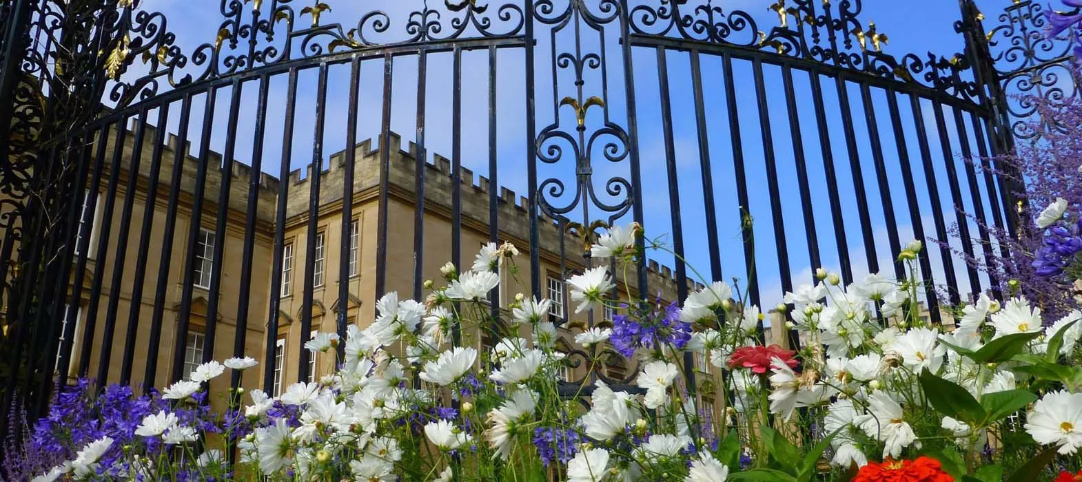 Summer flowers and the Gates