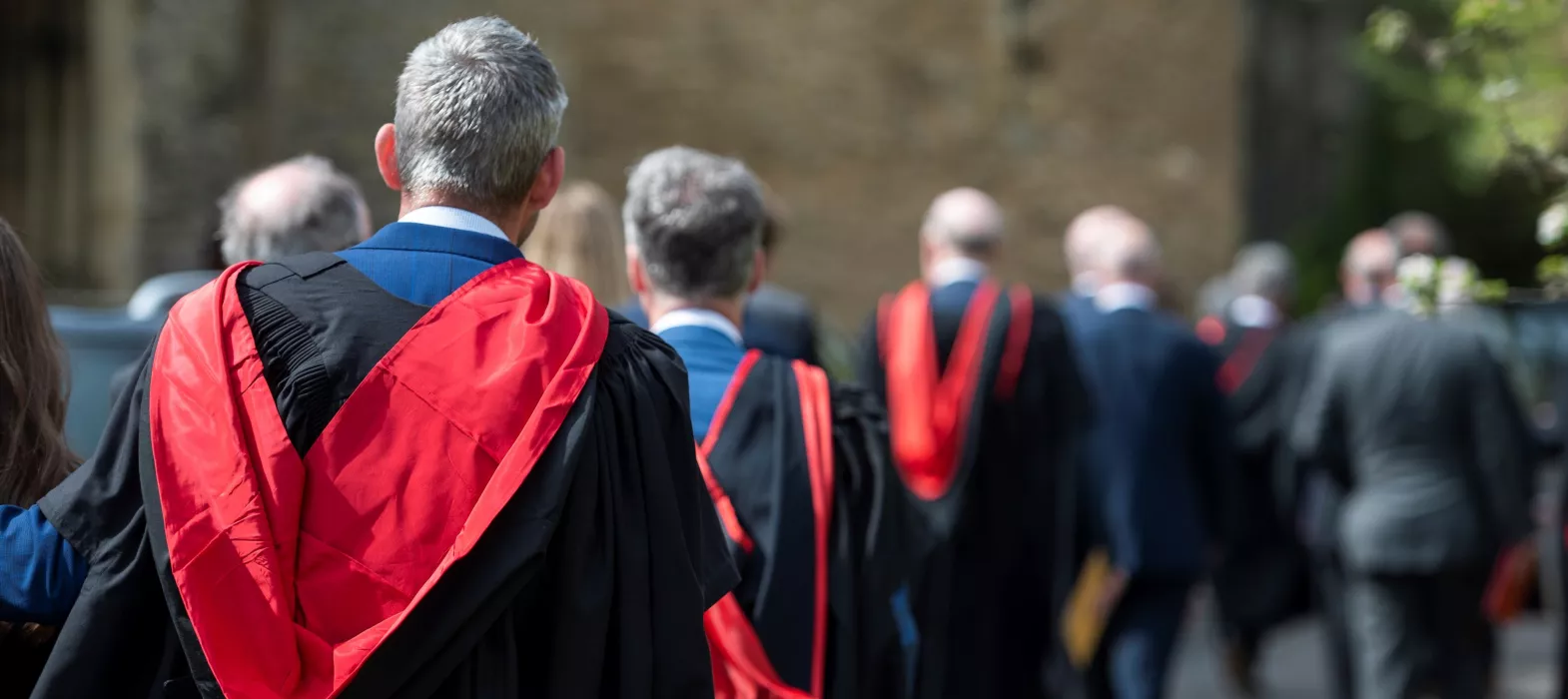 Fellows in gowns