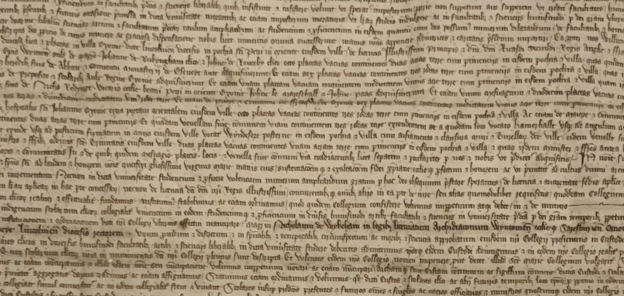 A handwritten charter.