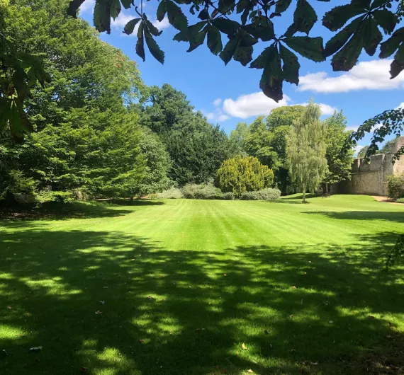 The New College garden