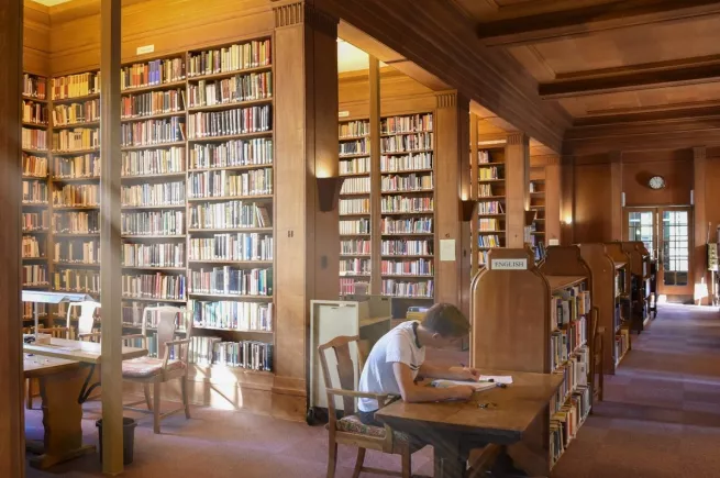 Student working in the Library