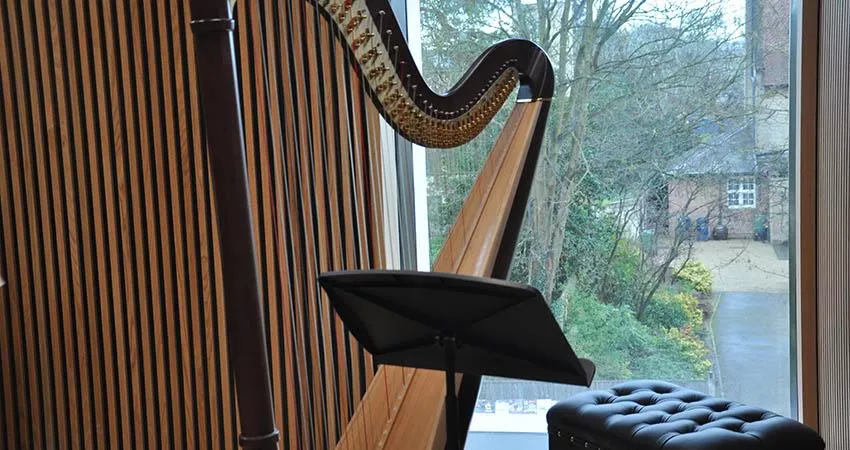 Harp in a music practice room