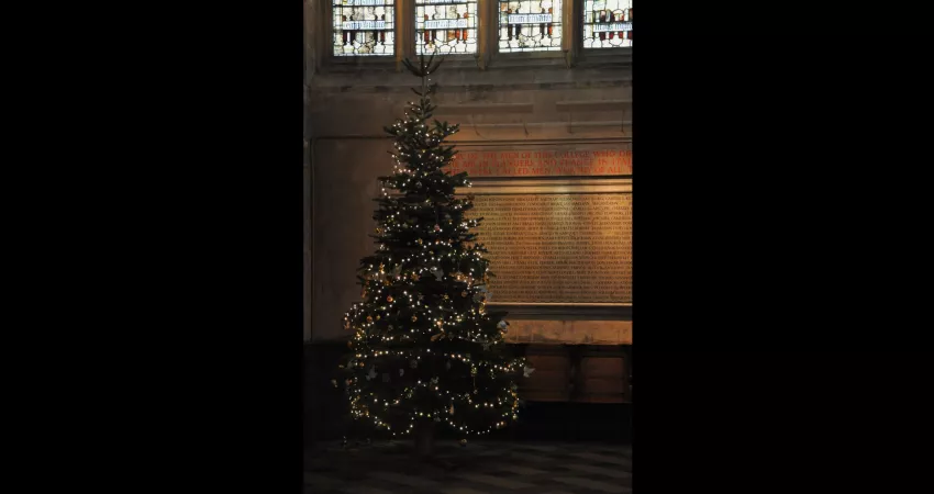 A lit-up and fully decorated Christmas tree