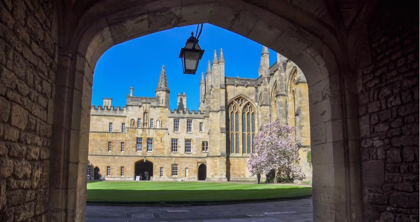 Medieval quad containing a blooming magnolia, framed by a stone arch