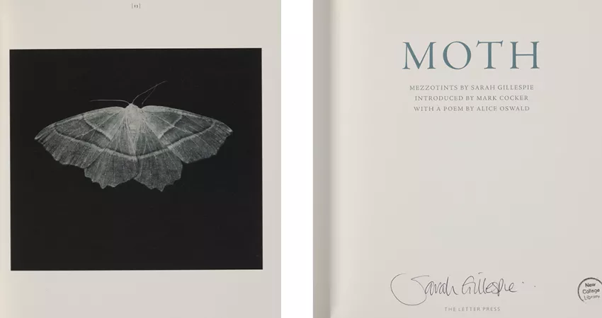 Moth, by Alice Oswald (New College Library, Oxford, NC/OSW)