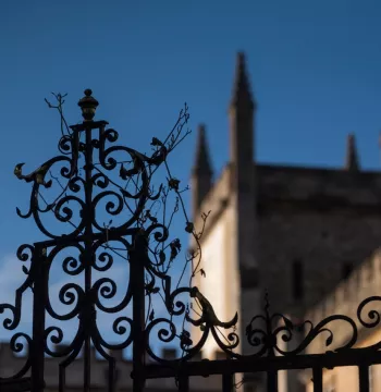 College as pictured through the gate